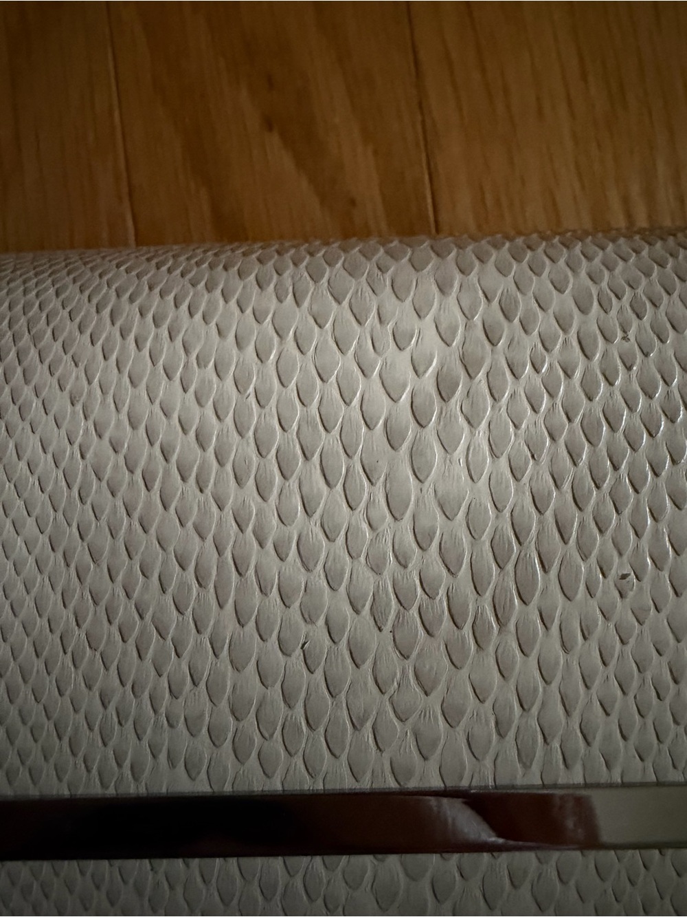 Jimmy Choo Cream Textured Snake-Embossed Glass Case with Silver Accent - Picture 3 of 10